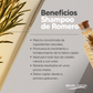 Shampoo de Romero X 500ml + Tratamiento Romero X 90ml (Precio Especial)