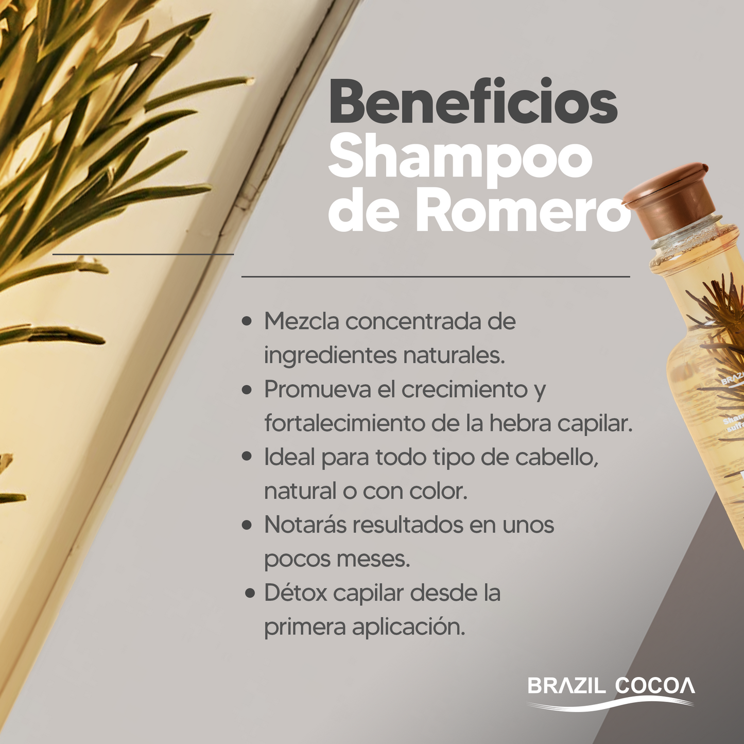 Shampoo de Romero X 500ml + Tratamiento Romero X 90ml (Precio Especial)