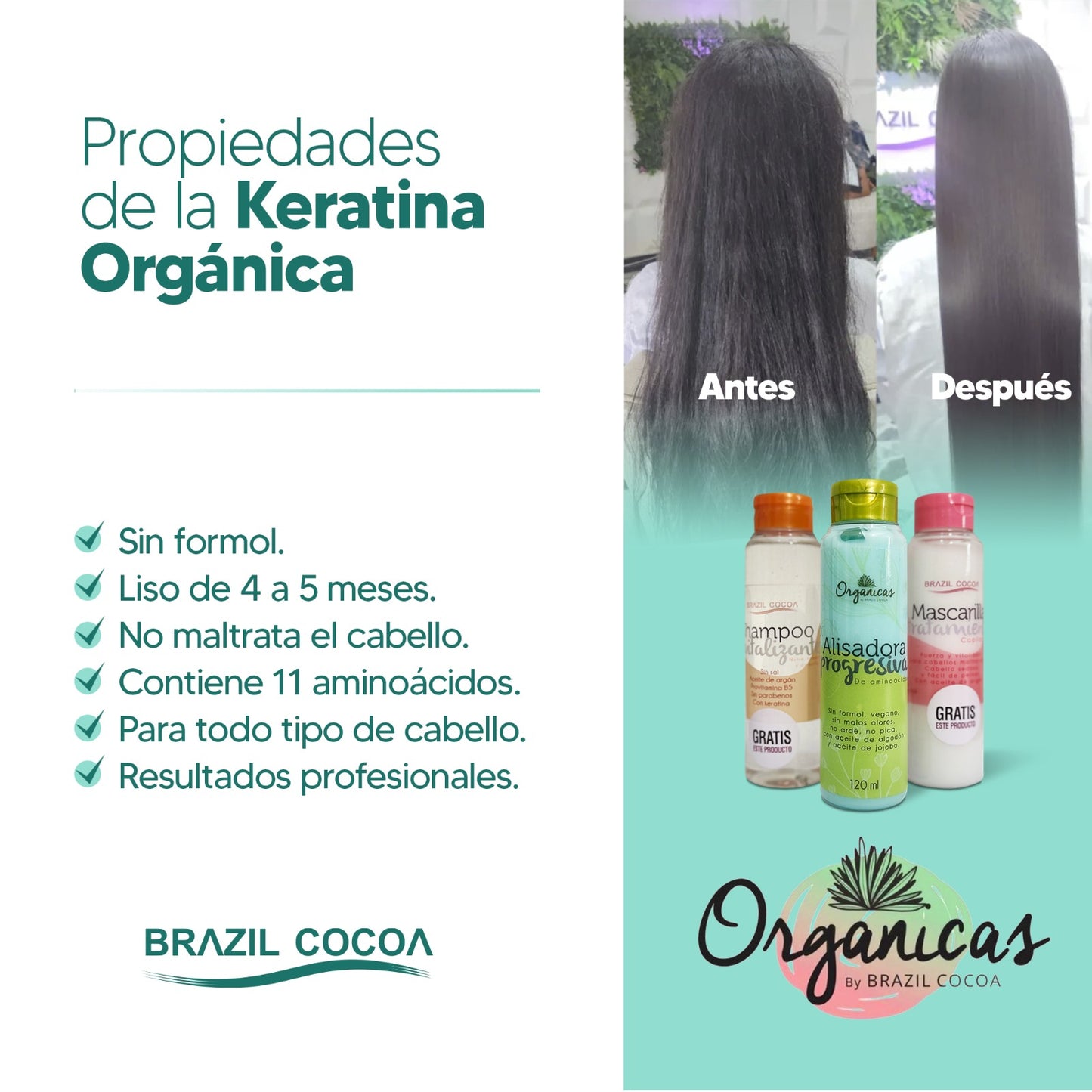 KERATINA ORGANICA X120 ML (alcanza para un alisado)