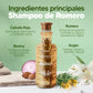 Shampoo de Romero X 500ml + Tratamiento Romero X 90ml (Precio Especial)